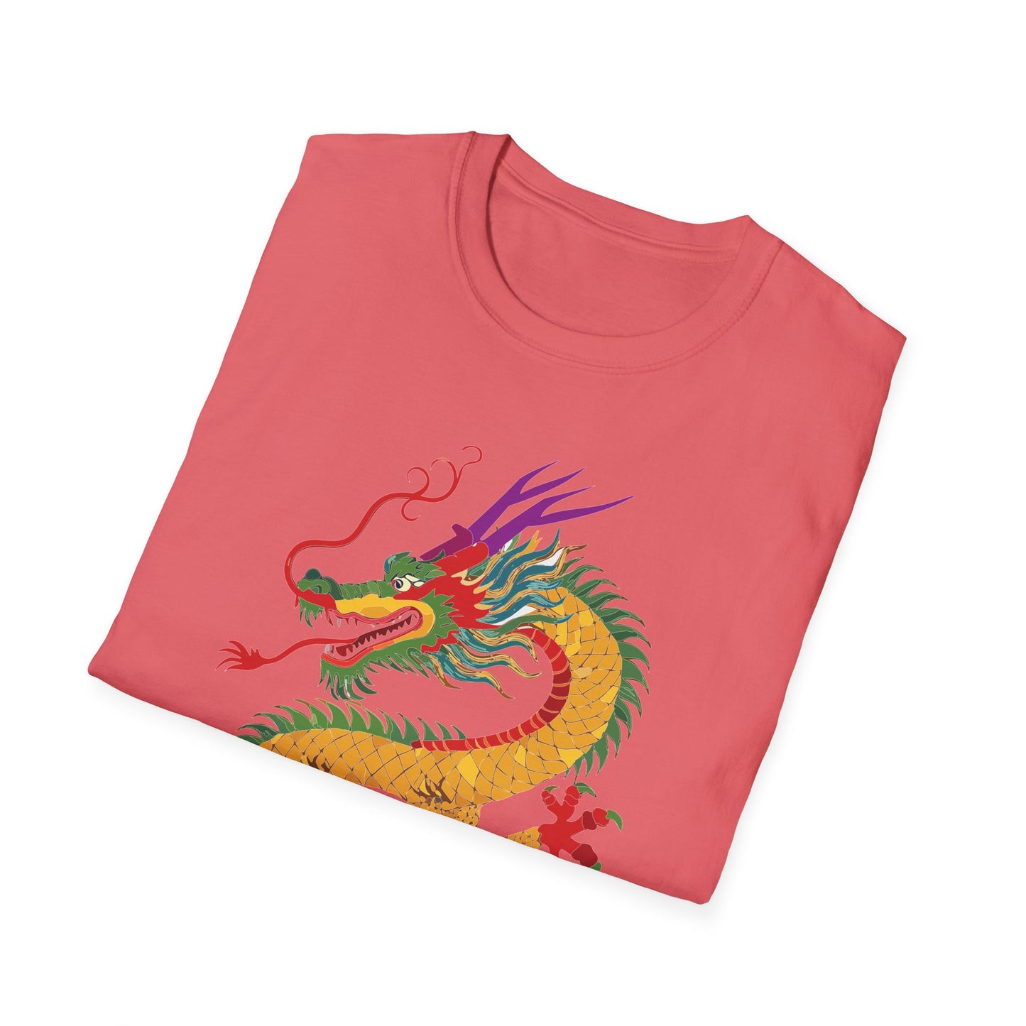 Dragon T Shirt, Dragon Shirt, Shirt with Animals, Animal Shirt
