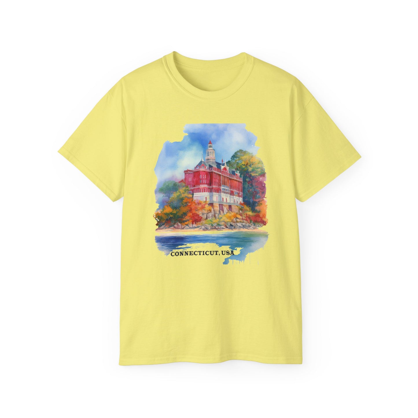 Connecticut Graphic Unisex Cotton T‑Shirt 2