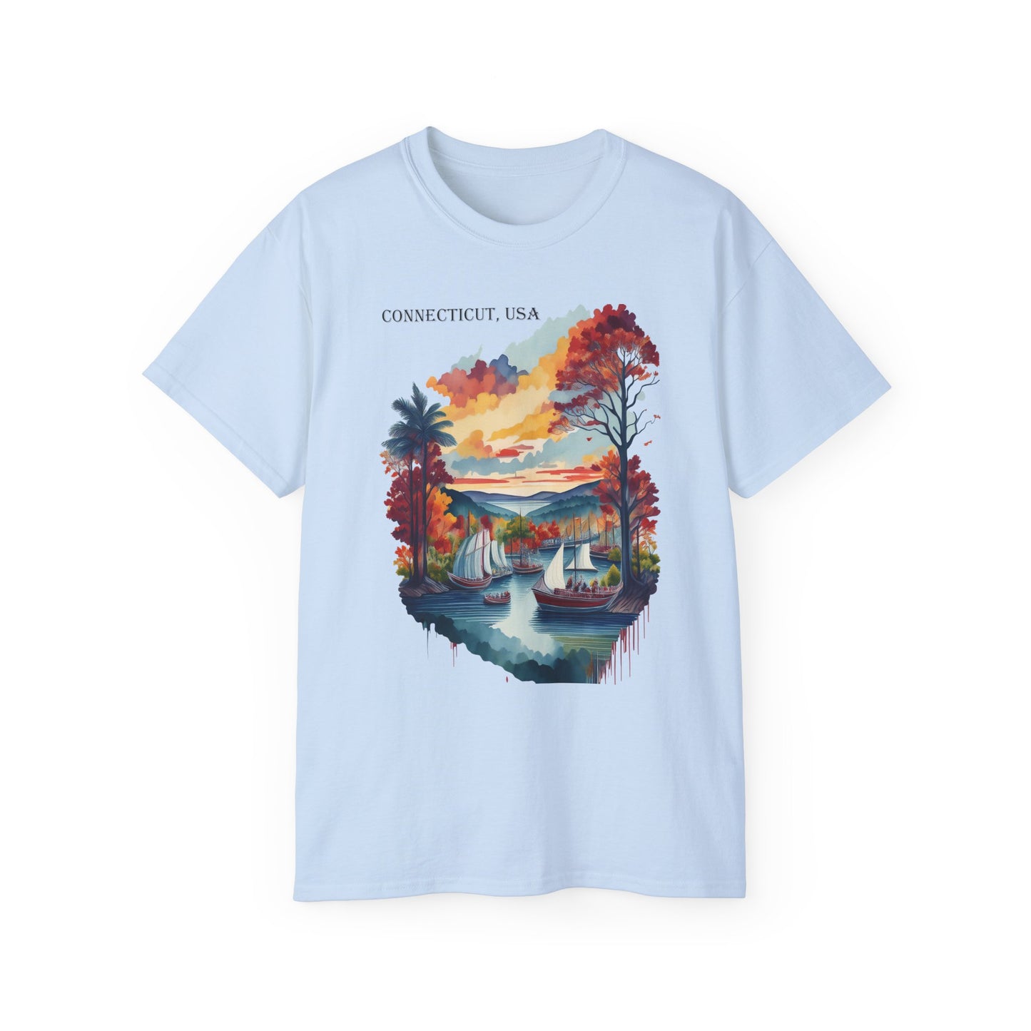 Connecticut Graphic Unisex Cotton T‑Shirt 1