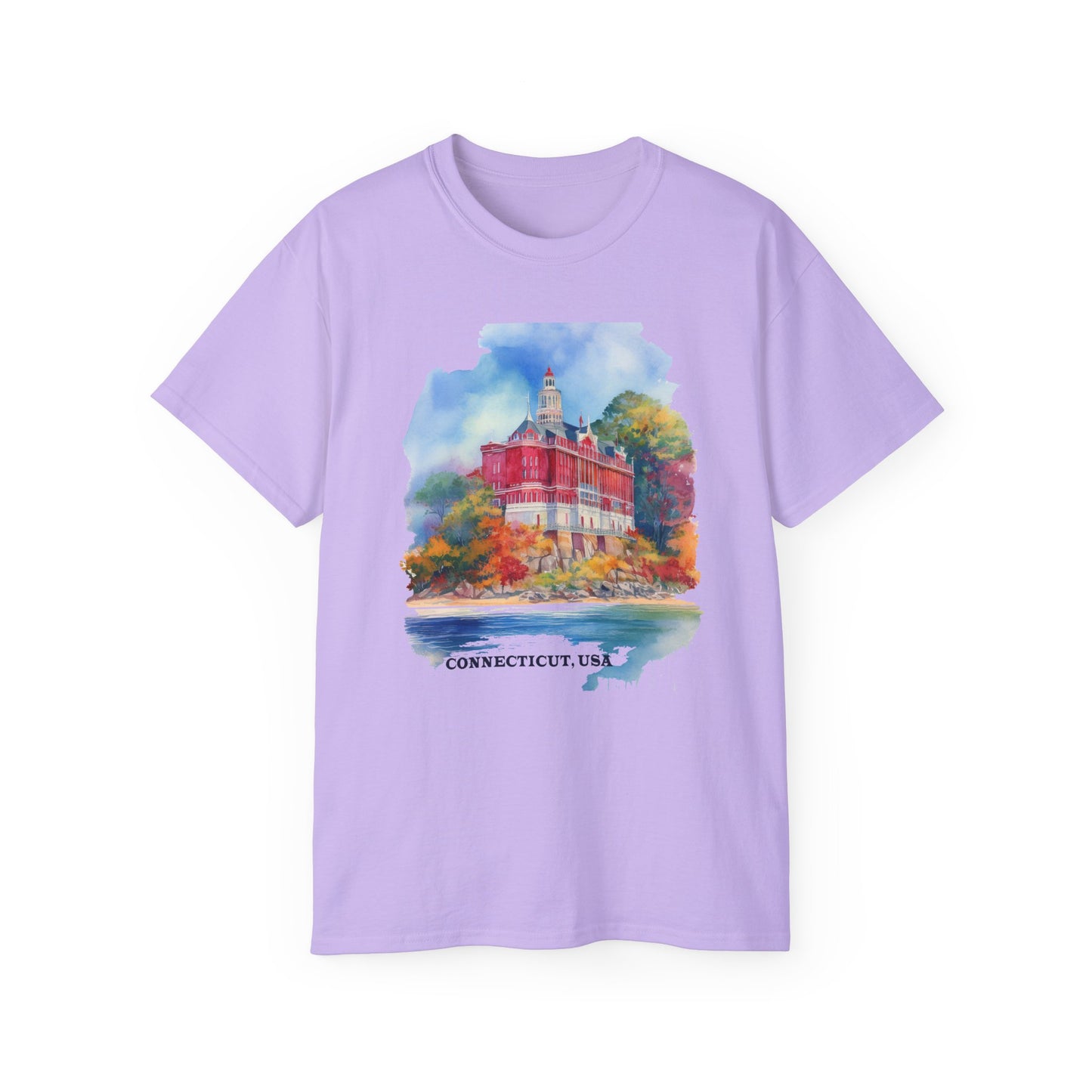 Connecticut Graphic Unisex Cotton T‑Shirt 2