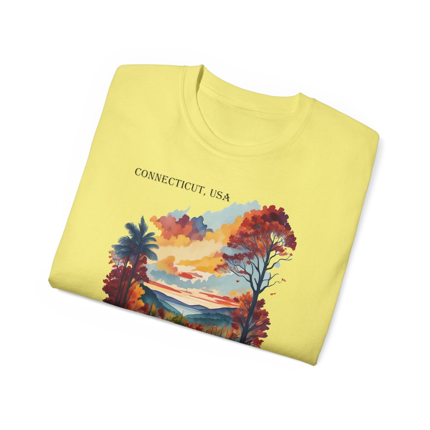Connecticut Graphic Unisex Cotton T‑Shirt 1