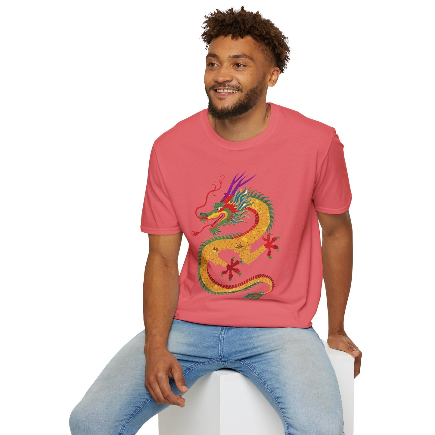 Dragon T Shirt, Dragon Shirt, Shirt with Animals, Animal Shirt