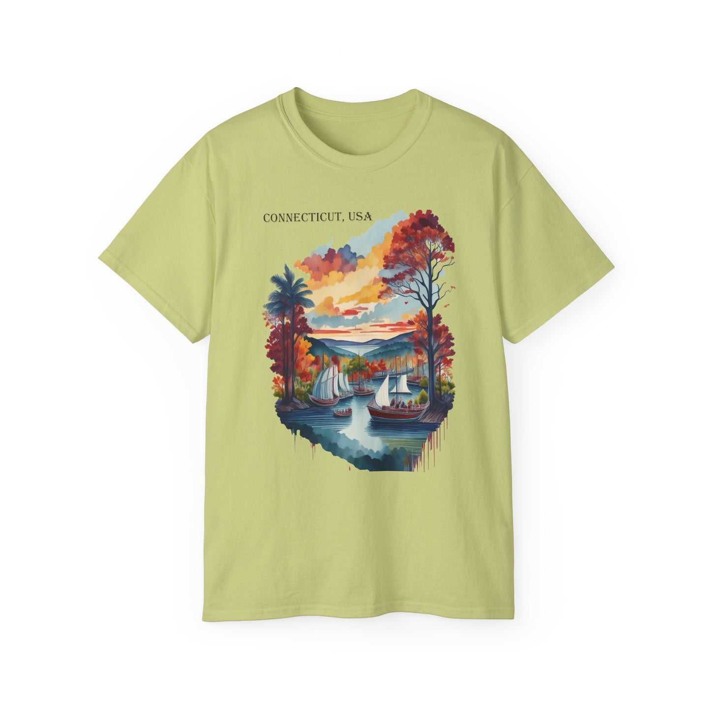 Connecticut Graphic Unisex Cotton T‑Shirt 1