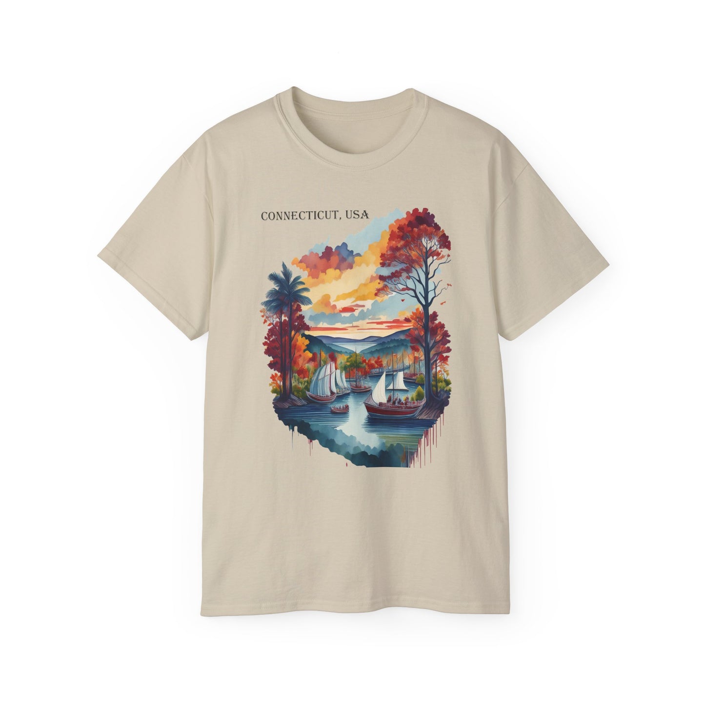 Connecticut Graphic Unisex Cotton T‑Shirt 1