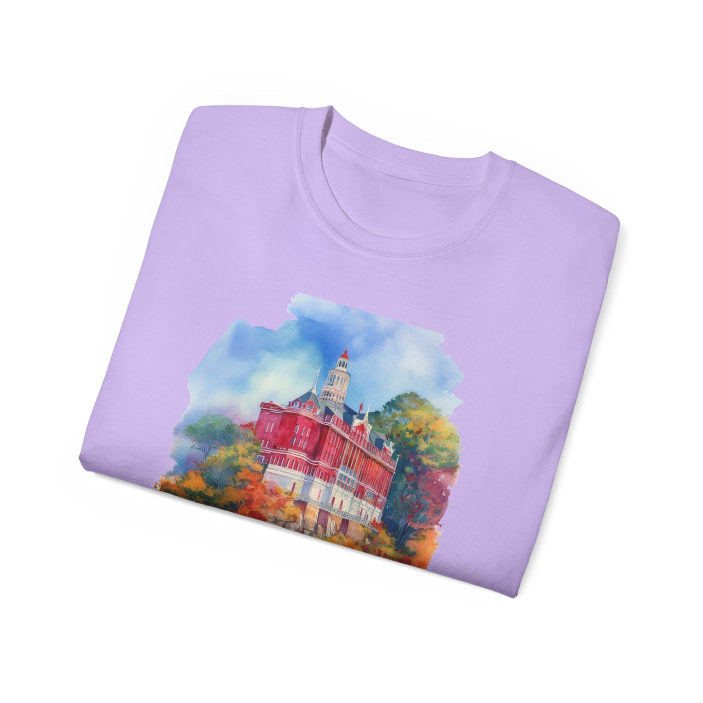 Connecticut Graphic Unisex Cotton T‑Shirt 2