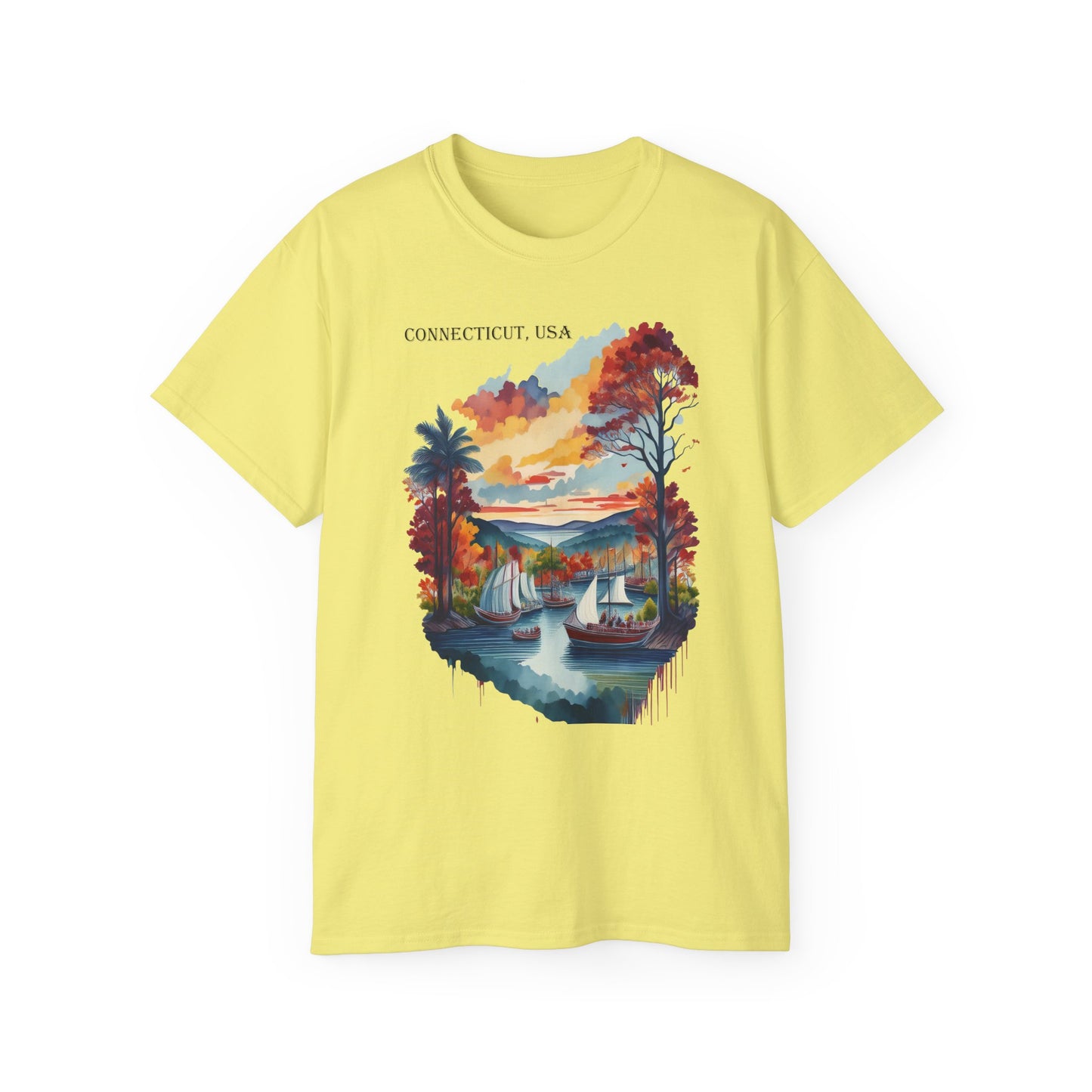 Connecticut Graphic Unisex Cotton T‑Shirt 1