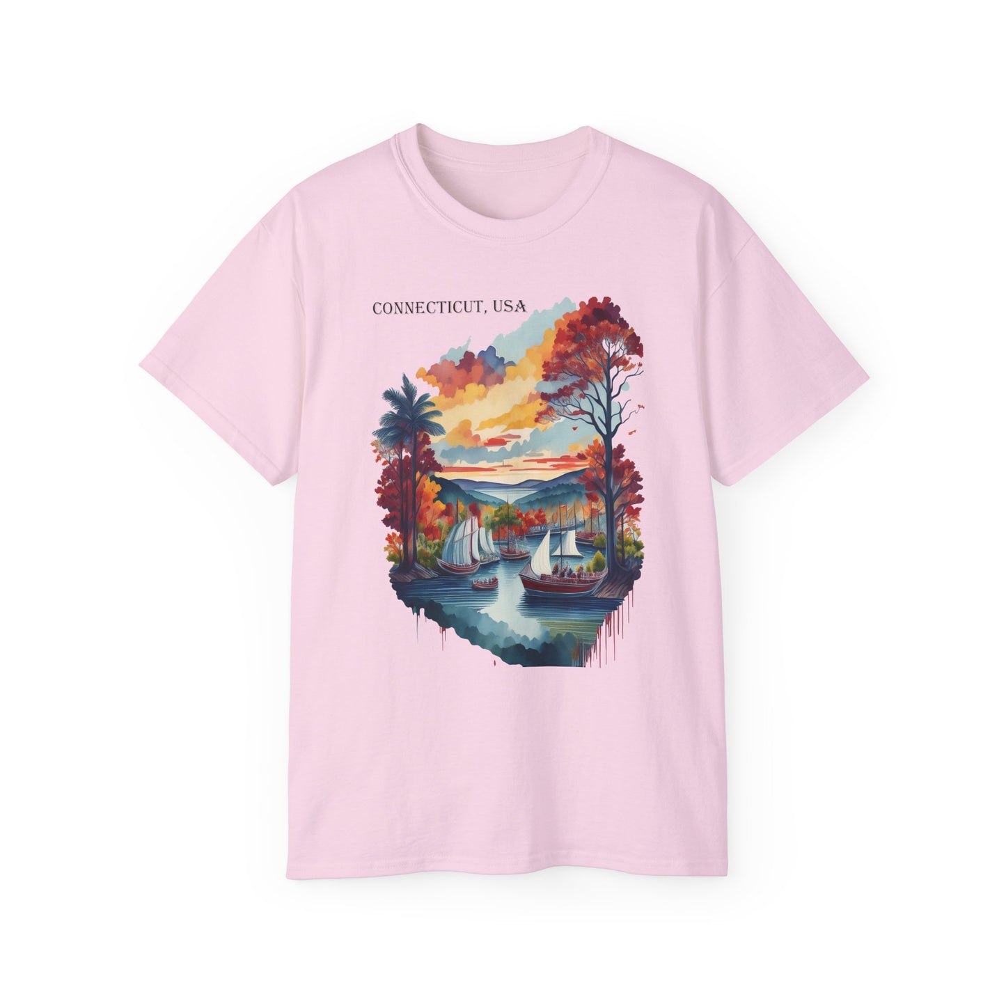 Connecticut Graphic Unisex Cotton T‑Shirt 1