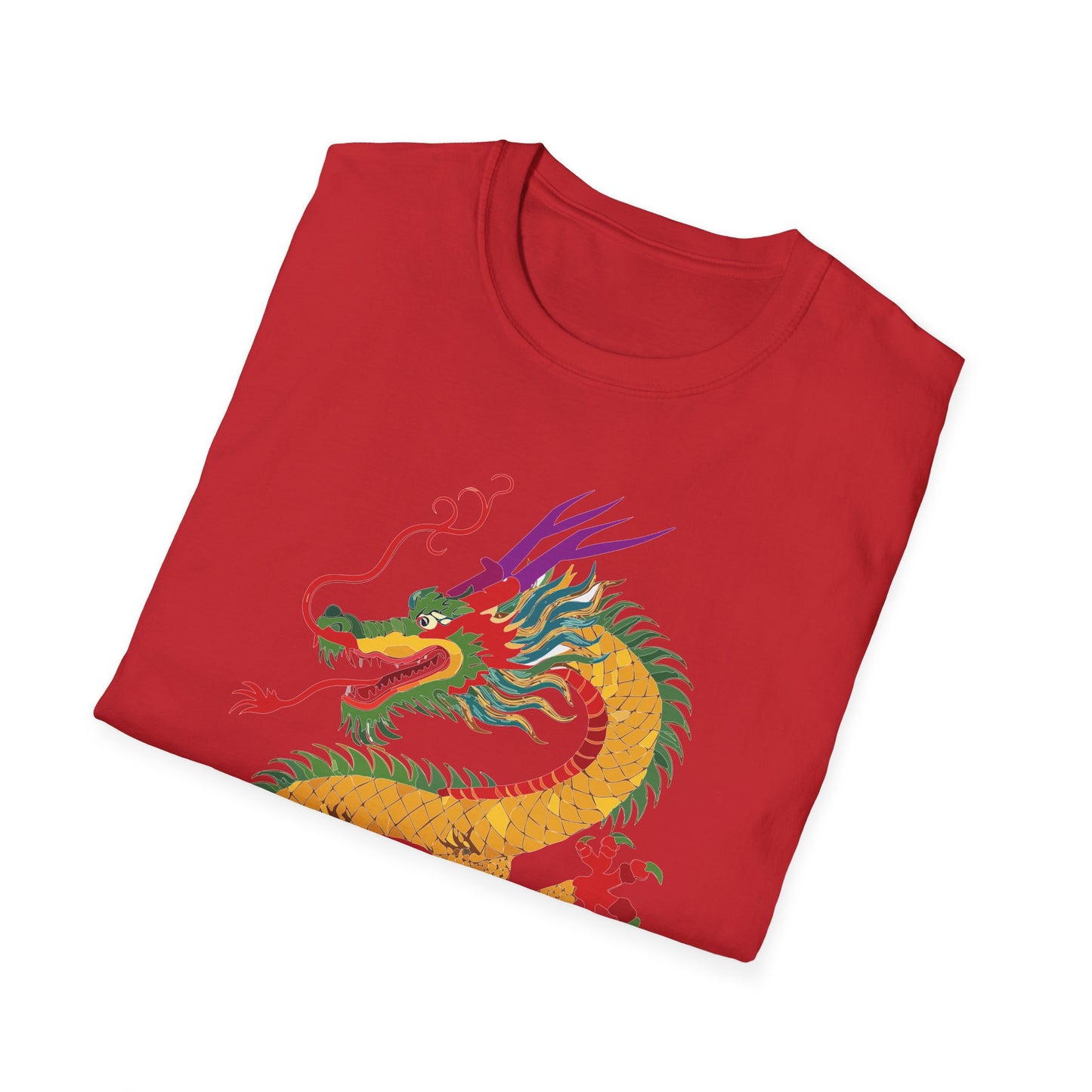 Dragon T Shirt, Dragon Shirt, Shirt with Animals, Animal Shirt