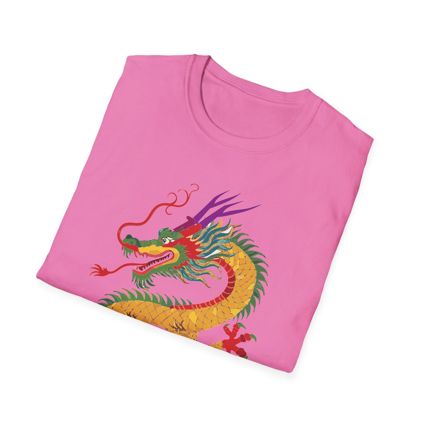 Dragon T Shirt, Dragon Shirt, Shirt with Animals, Animal Shirt
