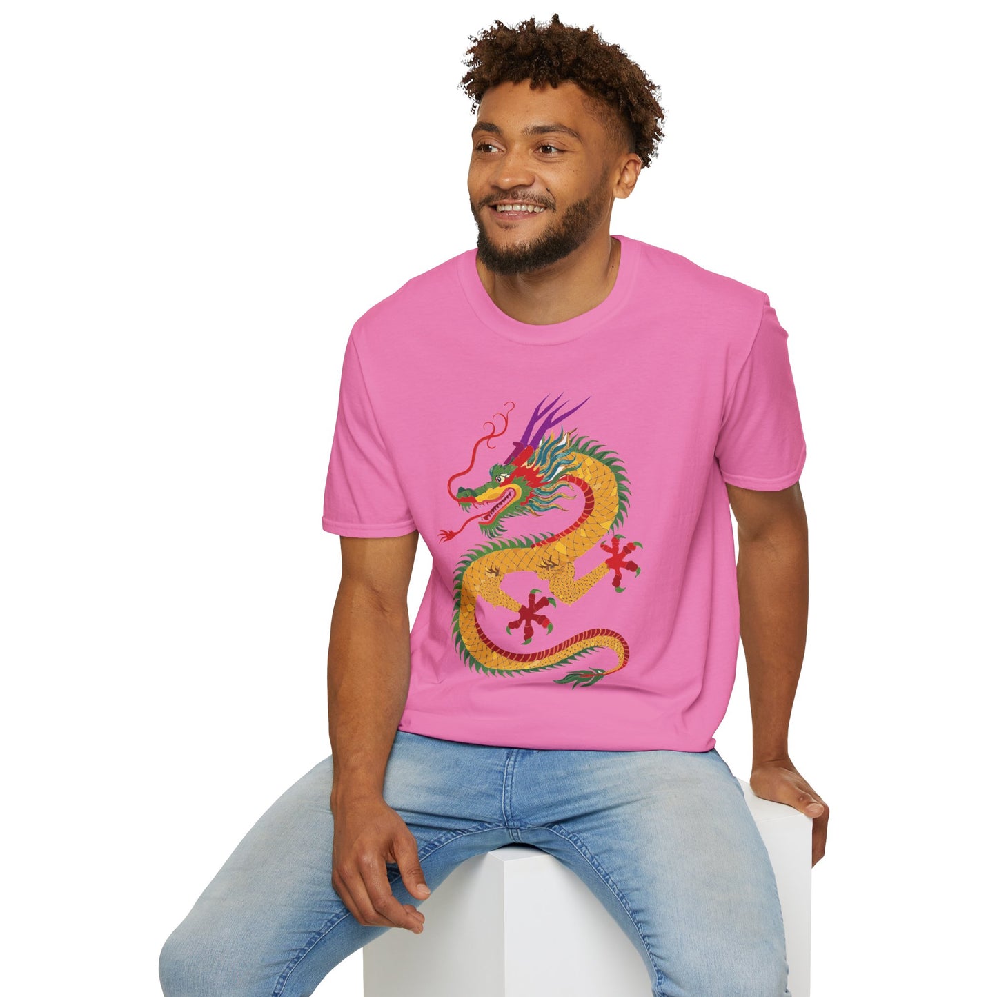 Dragon T Shirt, Dragon Shirt, Shirt with Animals, Animal Shirt