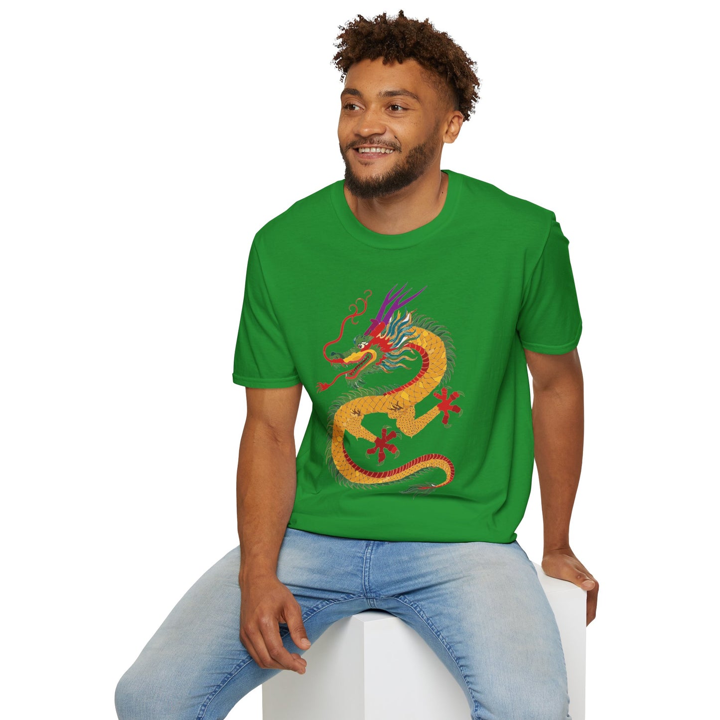 Dragon T Shirt, Dragon Shirt, Shirt with Animals, Animal Shirt