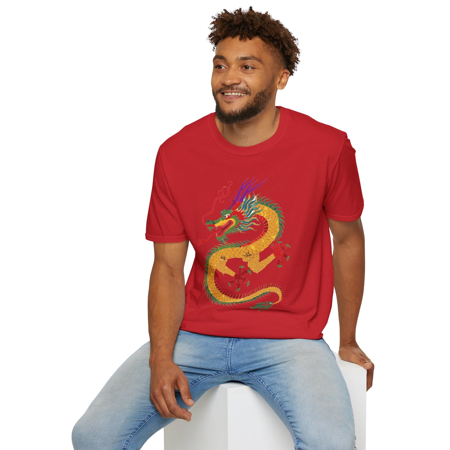 Dragon T Shirt, Dragon Shirt, Shirt with Animals, Animal Shirt